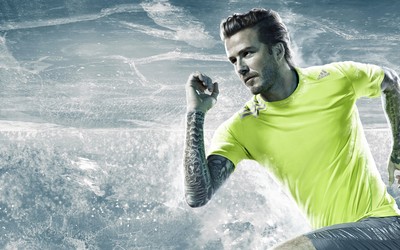 IM电竞独家-实力征服