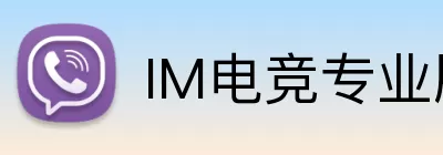 IM电竞专业版 logo
